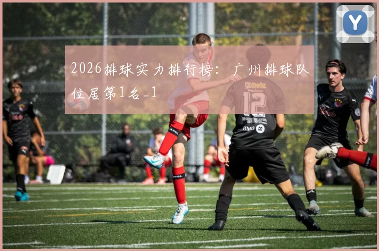 2026排球实力排行榜：广州排球队位居第1名_1