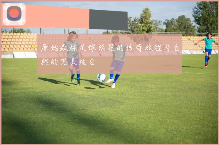 原始森林足球明星的传奇旅程与自然的完美结合