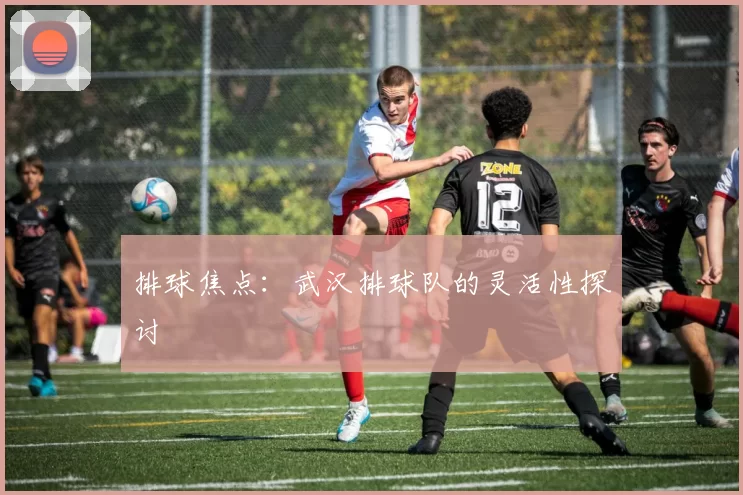 排球焦点：武汉排球队的灵活性探讨