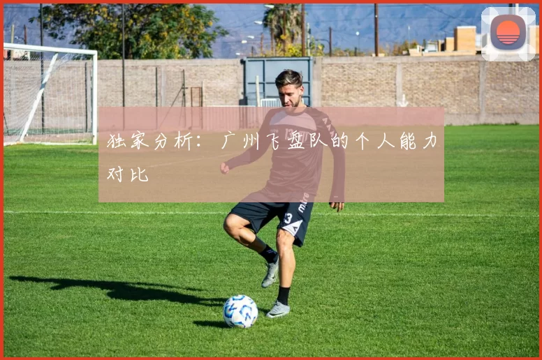 独家分析：广州飞盘队的个人能力对比