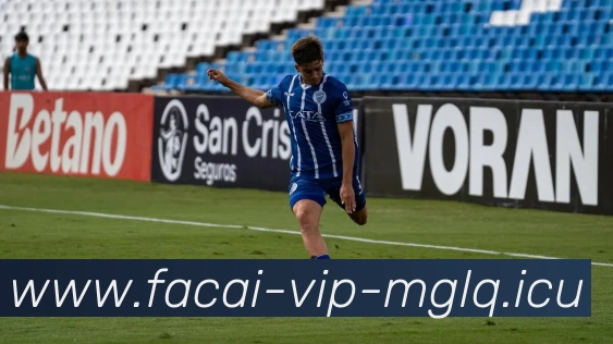 爱游戏体育APP 封面图